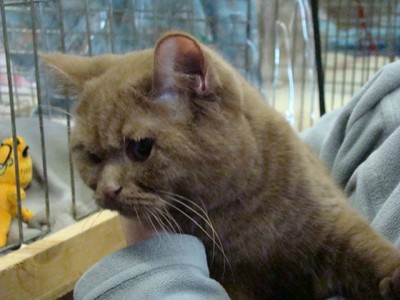 20121021_107 (Expo)